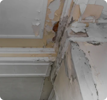 Reparación de Humedades 7 Tejados Alcala Henares Techo y pared interior dañados por humedad, con pintura y yeso desprendidos, evidenciando la necesidad de reparación de humedades urgente