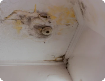 Reparación de Goteras 7 Tejados Alcala Henares Techo interior con manchas de humedad y moho debido a filtraciones de agua, evidenciando la necesidad urgente de reparación de goteras en la vivienda
