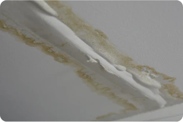 Reparación de Goteras 8 Tejados Alcala Henares Techo interior con manchas de humedad y pintura desprendida por filtraciones de agua, mostrando la necesidad urgente de reparación de goteras